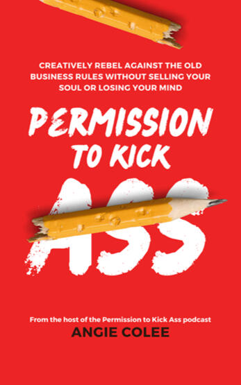 my first book: Permission to Kick Ass image is of the cover, which says Permission to Kick Ass, creatively rebel against the old business rules without selling your soul or losing your mind